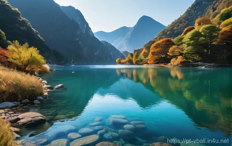 배구 대회 준비 팁 이미지 1