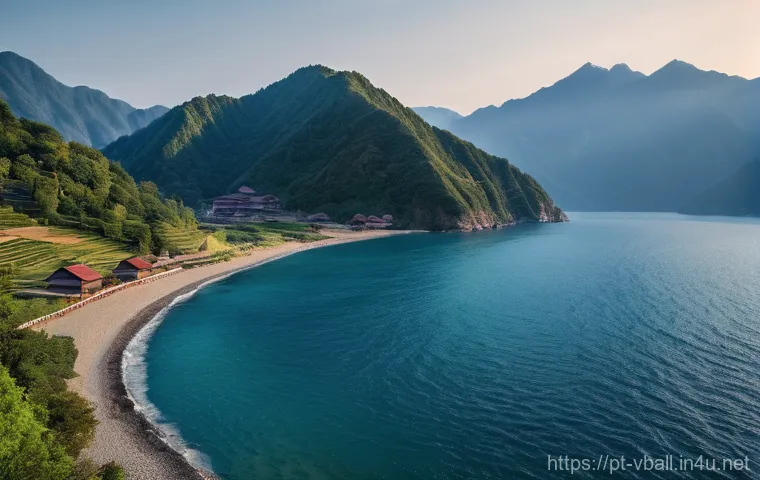 배구 대회 준비 팁 이미지 2