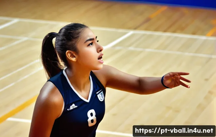 배구 유소년 클럽 활동 관련 이미지 1