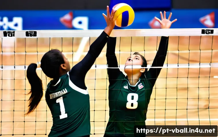 배구 경기 후 분석 방법 관련 이미지 1