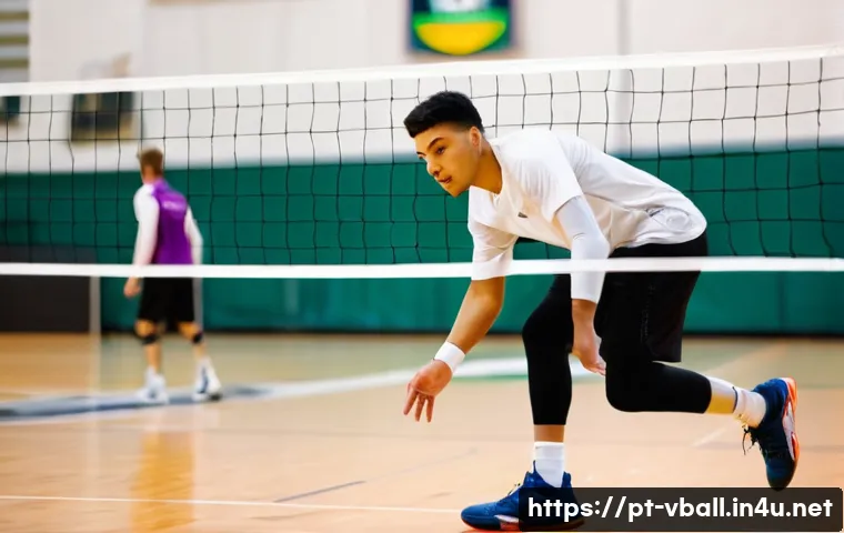 배구 교본 다운로드 - A dynamic indoor volleyball scene showing a young adult male player in athletic sportswear, wearing ...