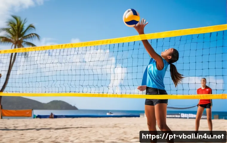7 dicas essenciais para aproveitar ao máximo seu acampamento de treinamento de vôlei 3 배구 트레이닝 캠프 관련 이미지 1